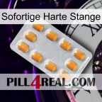 Instant Hard Rod cialis3